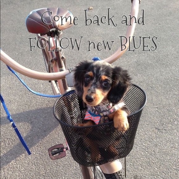 First FG💝/ Follow 🆕Blues - Picture 4 of 4